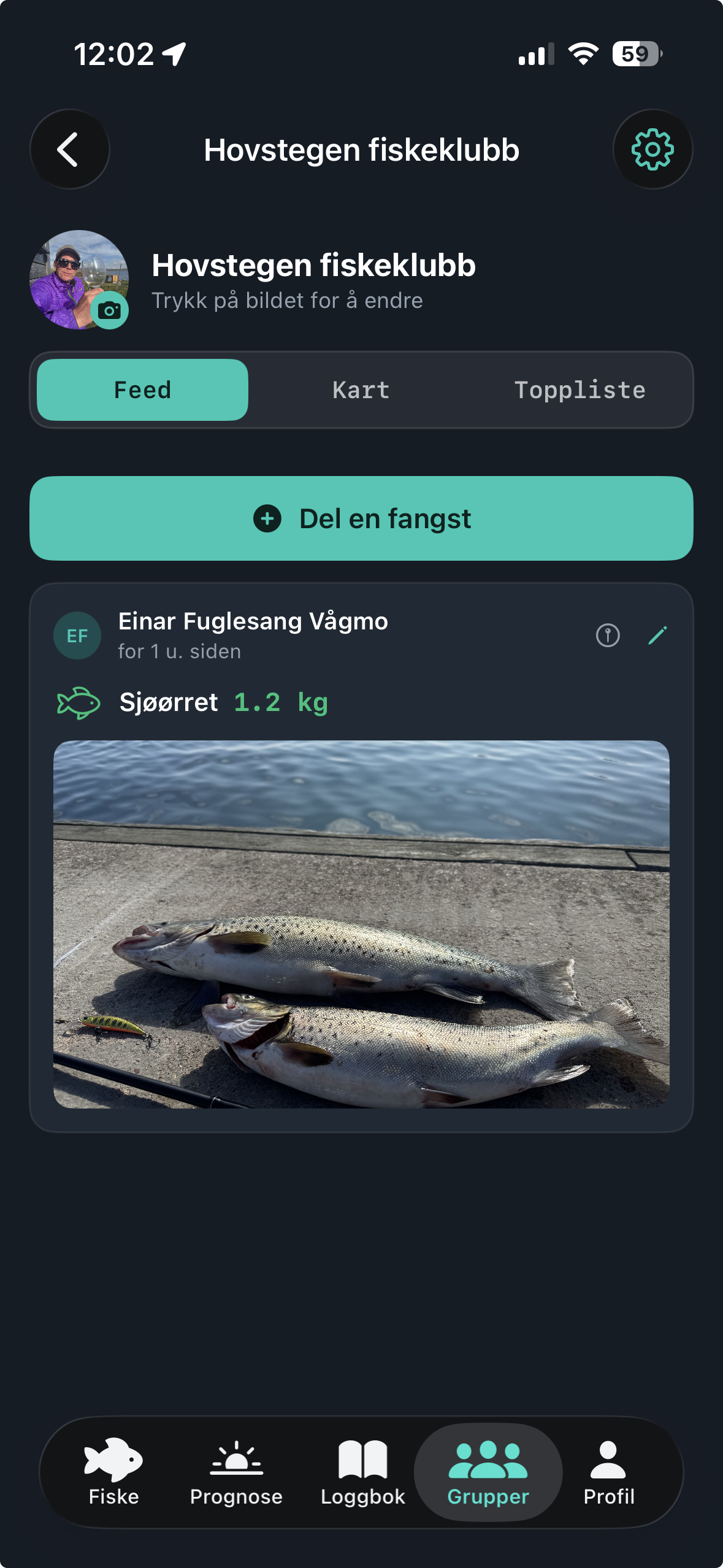 Fiskegrupper i Napp