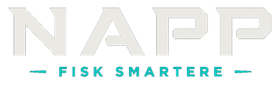 Napp – Fisk smartere