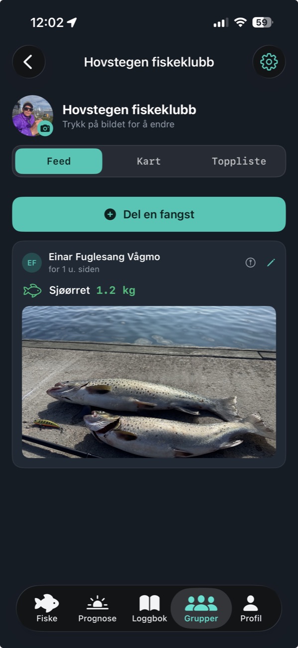 Grupper