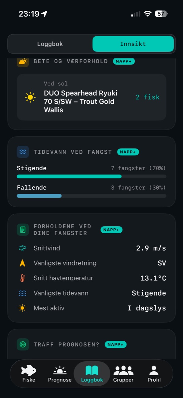 Innsikt