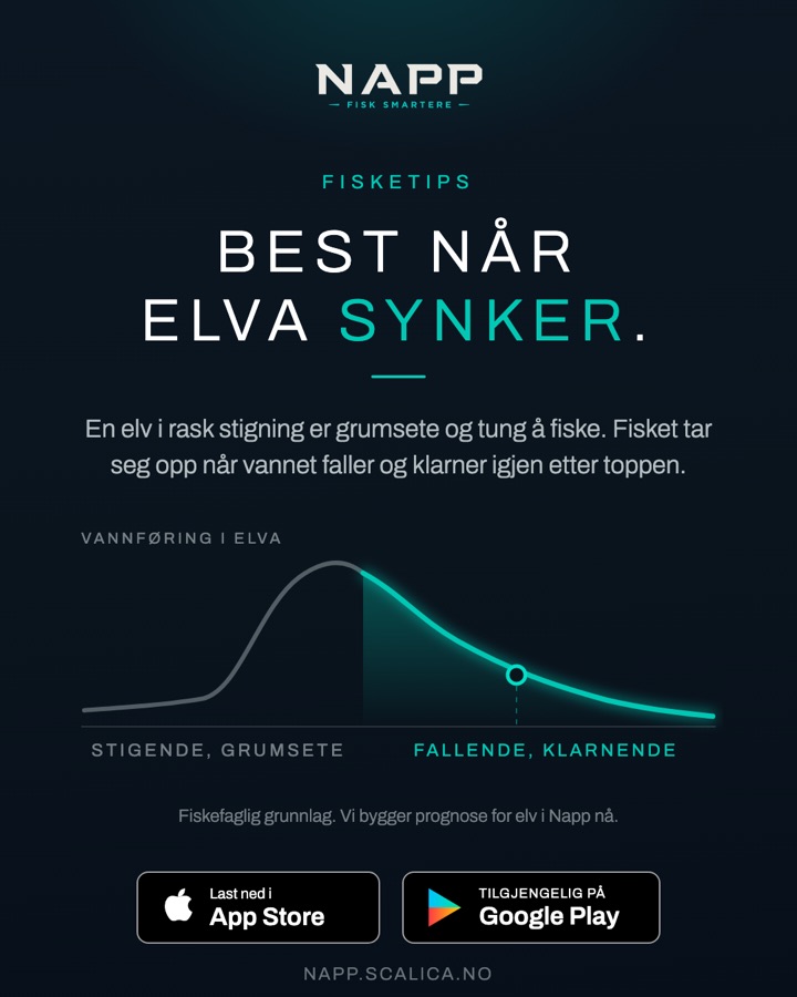 Best når elva synker