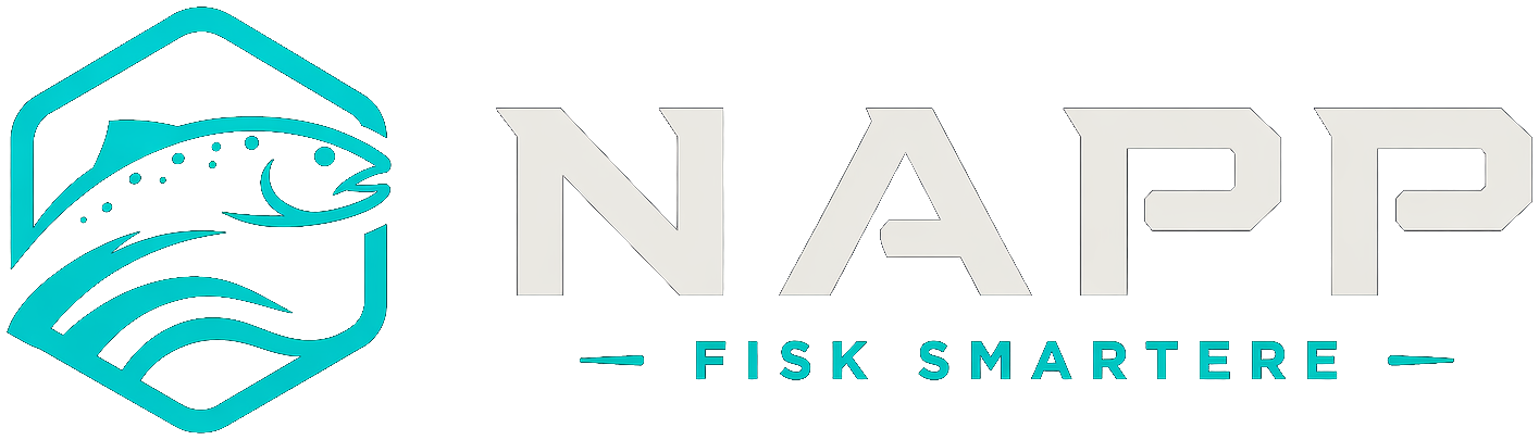 Napp – Fisk smartere